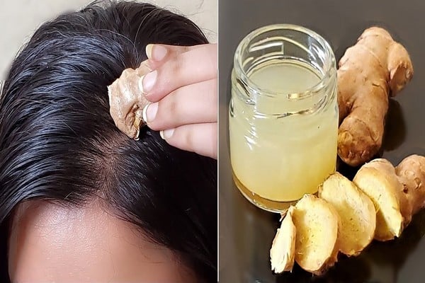 Comment Utiliser Le Gingembre Pour Arrêter La Perte De Cheveux Et Les Récupérer Rapidement