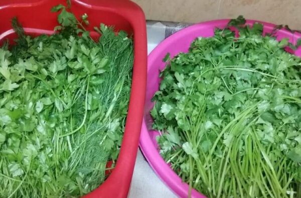 Comment conserver longtemps le persil frais ?