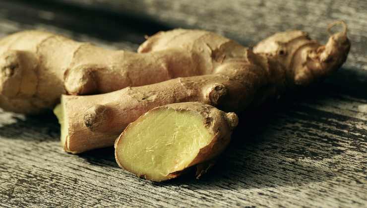 faire pousser du gingembre