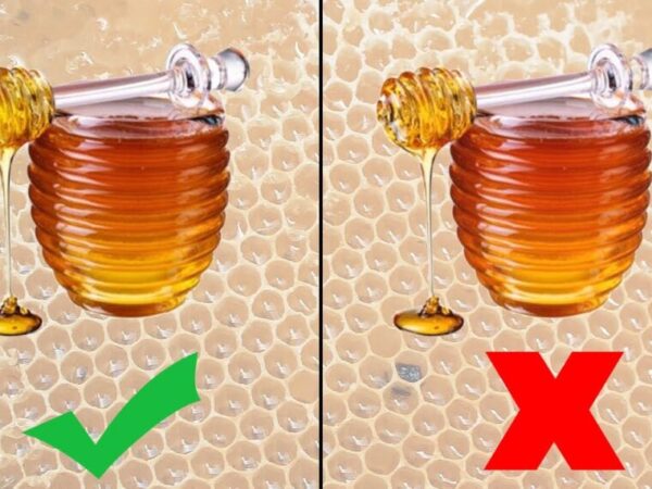 Comment distinguer le miel pur du faux miel