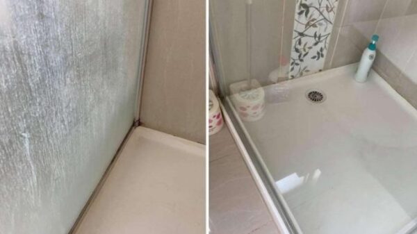 Comment enlever la moisissure et le calcaire de la douche avec seulement 2 ingrédients