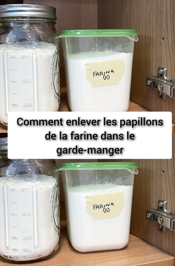 Comment enlever les papillons de la farine dans le garde-manger