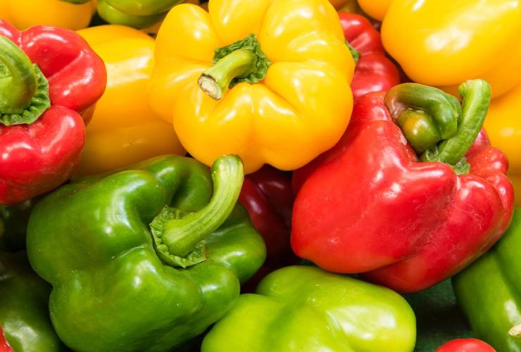 Conseils pour avoir des poivrons en abondance