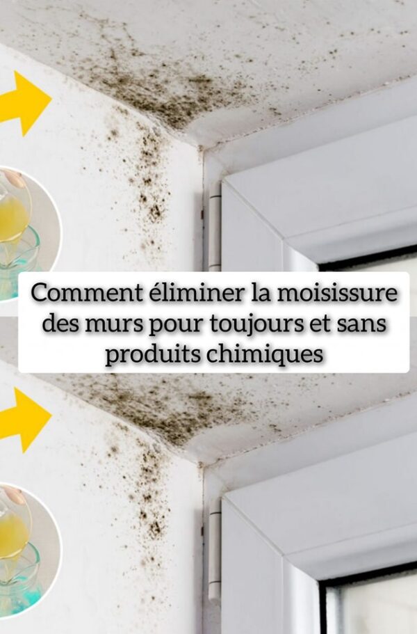 Comment éliminer la moisissure des murs pour toujours et sans produits chimiques