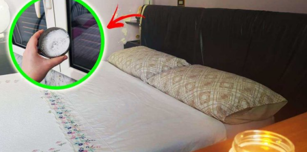 Comment éliminer l’humidité et parfumer votre chambre avec une seule méthode naturelle ?