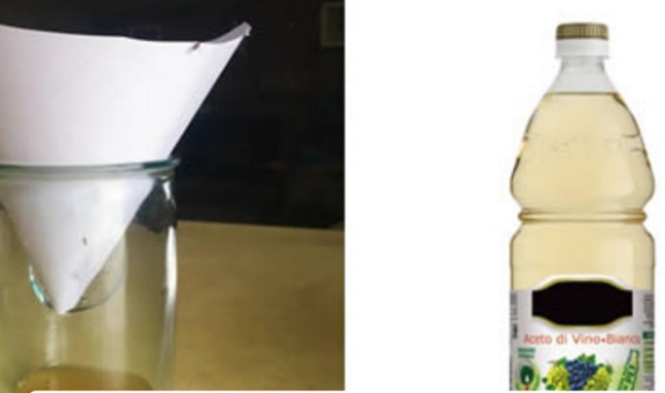 Comment éloigner les moustiques pendant de nombreuses heures de manière naturelle