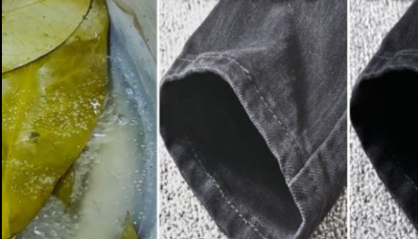 Comment récupérer des vêtements foncés délavés avec du laurier et du bicarbonate de soude