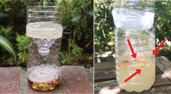 Comment se débarrasser des mouches avec un piège à levure de banane