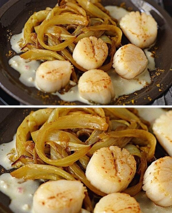 Coquilles Saint-Jacques, compotée d’endives au curry