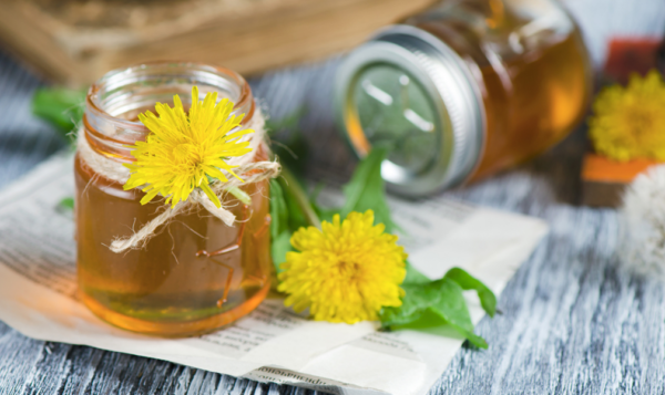 Cramaillote : la recette printanière du miel de pissenlit