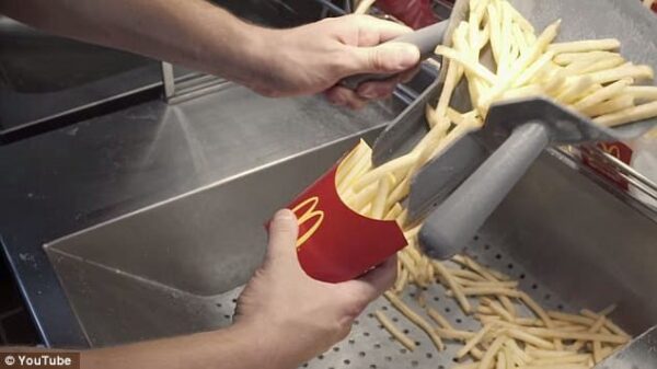 DES ADDITIFS MORTELS QUE TOUT LE MONDE TROUVE BONS COMPOSENT LES MENUS DE MCDONALD&rsquo;S