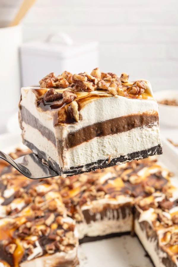 Découvrez l&rsquo;Exquis Monde du Turtle Lush : Un Dessert Sans Cuisson qui Émerveille les Papilles