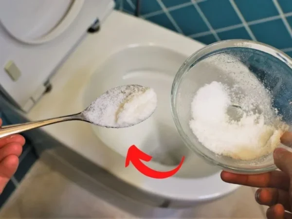 Des TOILETTES parfaitement propres sans lever le petit doigt : il suffit de les jeter dans la cuvette et elles se nettoient toutes seules !