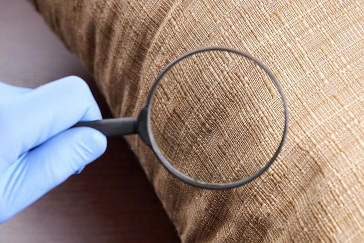 Détection des parasites