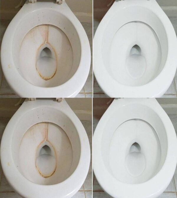 Des toilettes fraîches et impeccables pendant une semaine, même les femmes de ménage l’utilisent