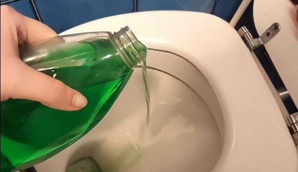 Des toilettes fraîches et impeccables pendant une semaine, même les femmes de ménage l’utilisent