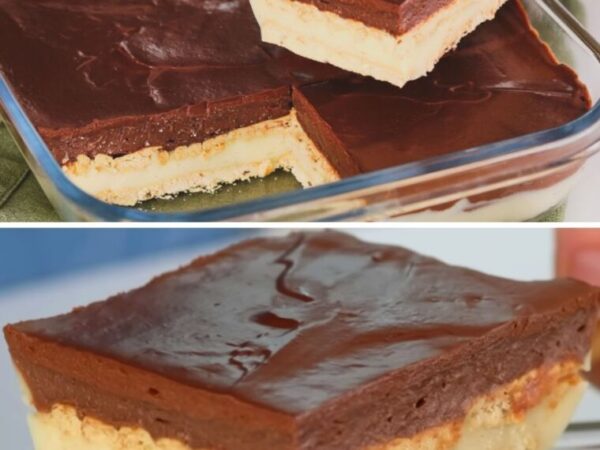 Dessert en 5 minutes, sans four, sans lait concentré !