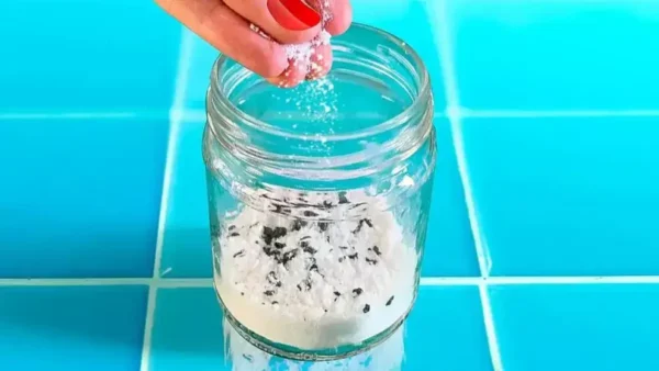 Dites adieu à l’humidité et aux mauvaises odeurs avec un absorbeur d’humidité parfumé fait maison !