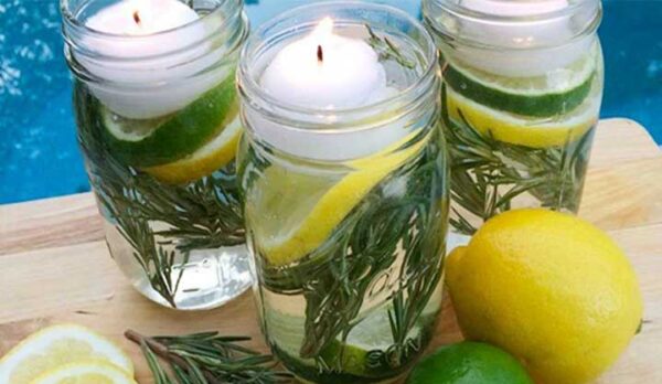 Enfin Un Répulsif 100% Naturel Que Tous Les Moustiques DÉTESTENT.