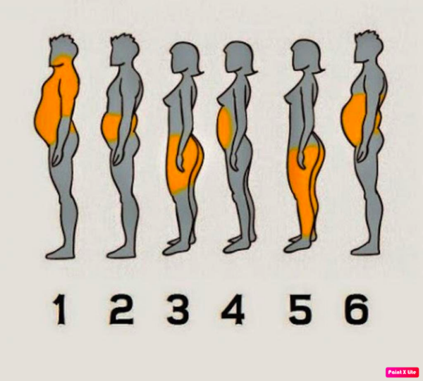 Et vous, est ce que vous reconnaissez votre silhouette parmi celles-ci ? Vous apprendrez quel genre de vie vous avez !