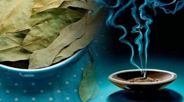 FAITES BRÛLER DES FEUILLES DE LAURIER CHEZ VOUS ET REGARDEZ CE QU’IL SE PASSE AU BOUT DE 10 MIN
