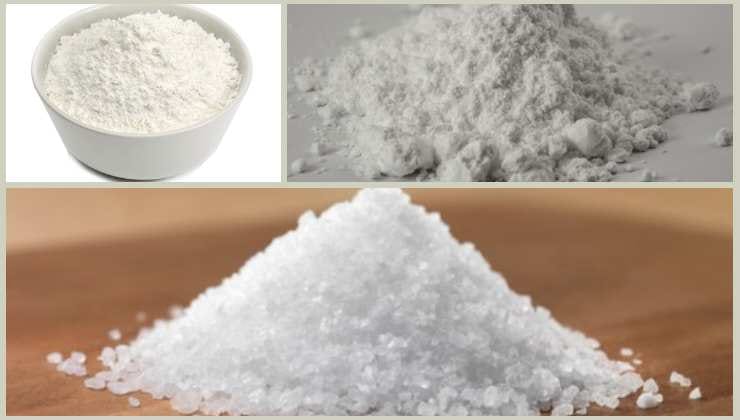 Ingrédients pour éloigner les fourmis de votre maison