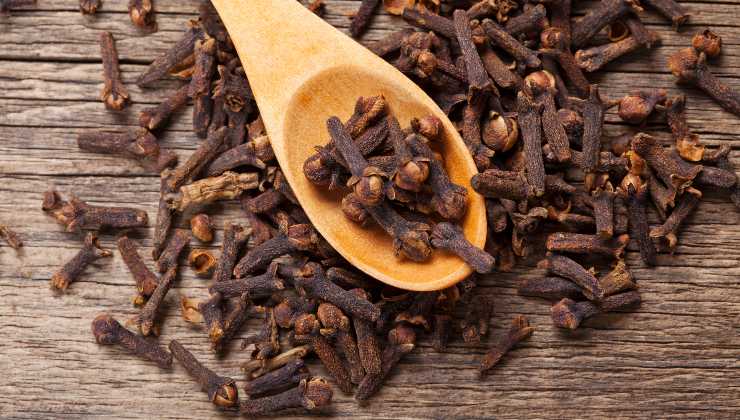 clous de girofle