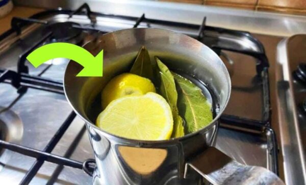 Faire bouillir du citron et des feuilles de laurier – vous ne pouvez pas imaginer tous les avantages