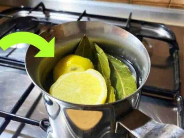 Faire bouillir du citron et des feuilles de laurier vous ne pouvez pas imaginer tous les avantages