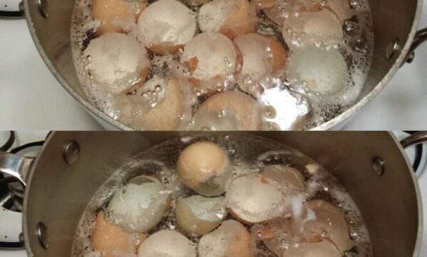 Faites bouillir des coquilles d’œufs dans une casserole – vous économiserez beaucoup d’argent