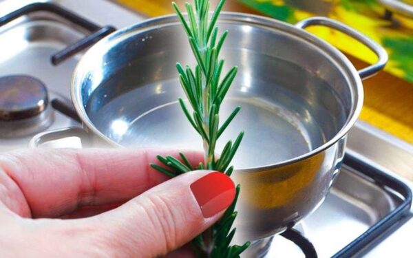 Faites bouillir le romarin pendant 10 minutes, ce qui se passe résoudra un gros problème