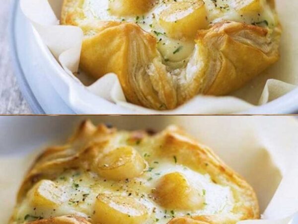 Feuilleté de Saint Jacques