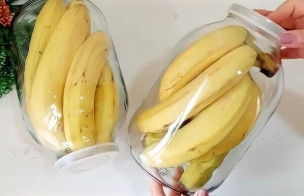 Fini les Bananes Pourries et Noires au Bout de Quelques Jours