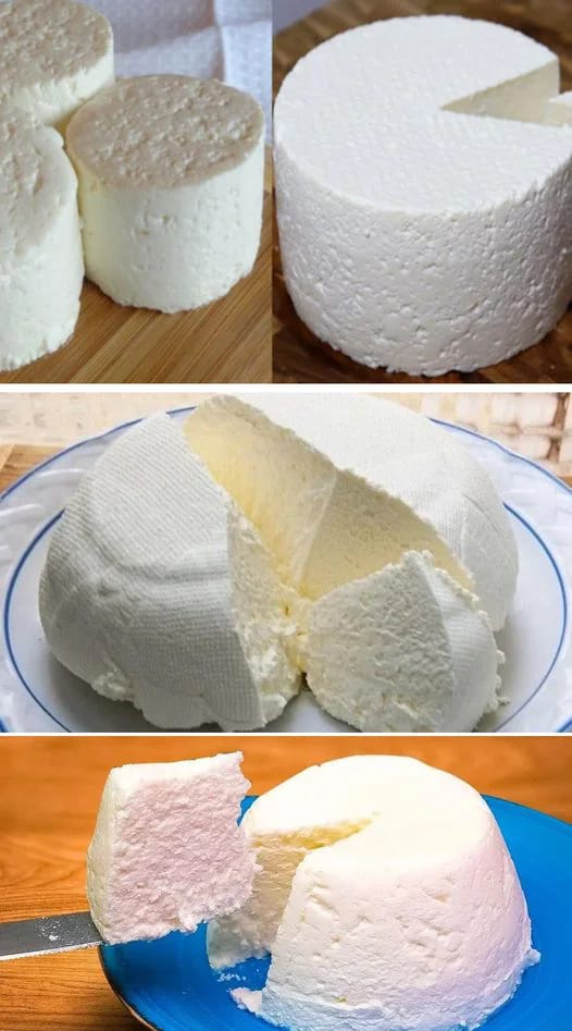 Fromage Maison : Le Trésor Lacté Réinventé