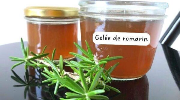 Gelée de Romarin : ma recette facile avec les Herbes du Jardin