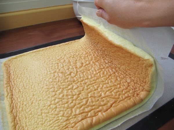 Génoise Pour Bûche De Noel Ou Gâteau Roulé