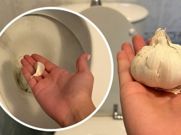 Gousse d’ail : jetez-la dans les toilettes avant d’aller au lit !