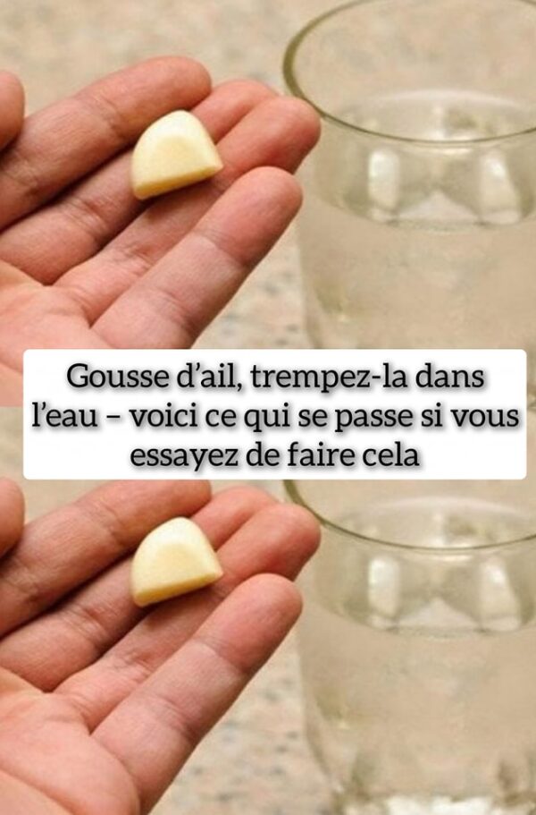 Gousse d’ail, trempez-la dans l’eau – voici ce qui se passe si vous essayez de faire cela
