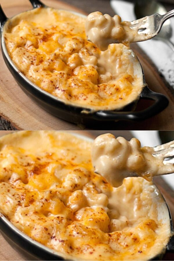 Gratin de Pâtes et Poulet à la sauce béchamel