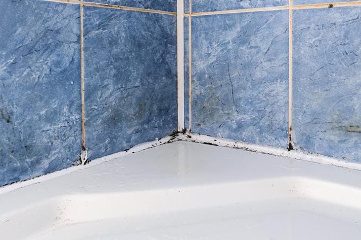 Der Schimmel verfärbte die Fugen der Fliesen