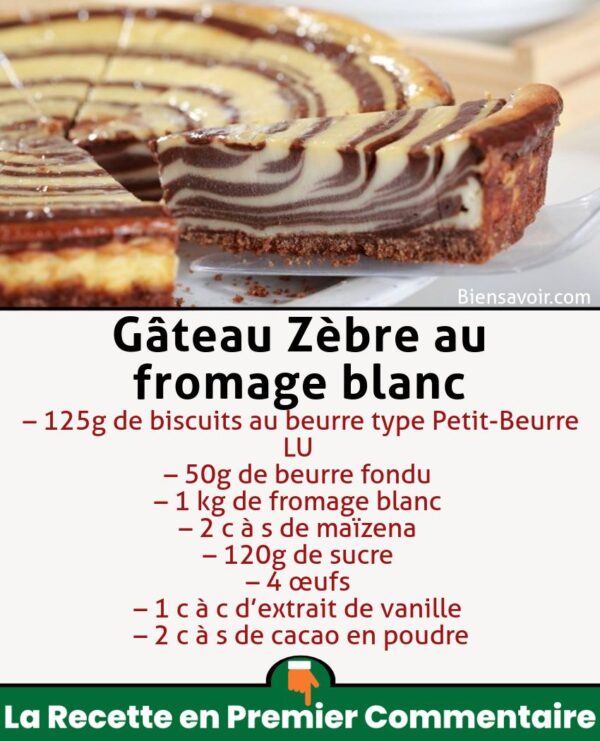 Gâteau Zèbre au fromage blanc
