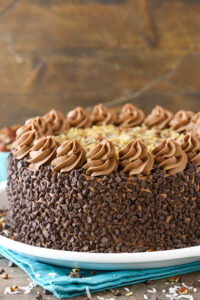 Gâteau au Fromage au Chocolat et à la Noix de Coco depuis recettemoderne.com