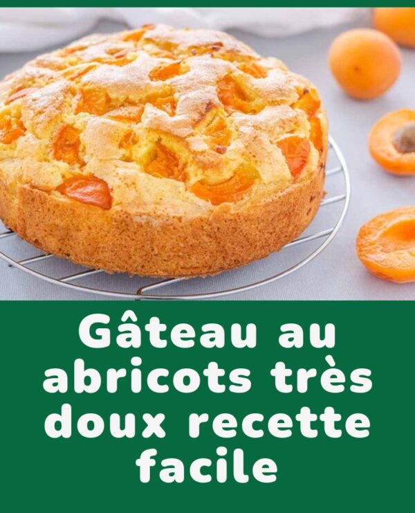 Gâteau au abricots très doux recette facile