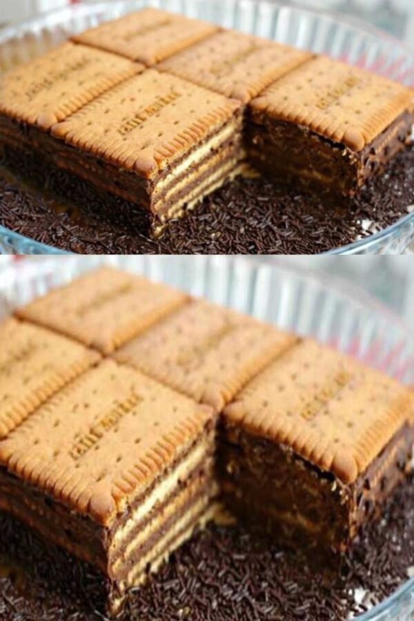 Gâteau aux biscuits et chocolat bon souvenir d’enfance