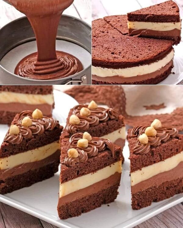 Gâteau crémeux au chocolat