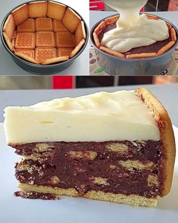 Gâteau crémeux aux biscuits