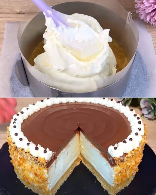 Gâteau crémeux sans cuisson : le dessert qui séduira tout le monde