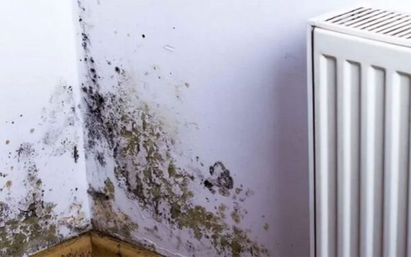 Humidité à la maison ? L’astuce des mamies futées pour résoudre ce problème pour de bon