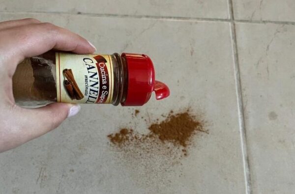 Jeter 1 pincée de cannelle par terre, l’astuce qui marche depuis des décennies