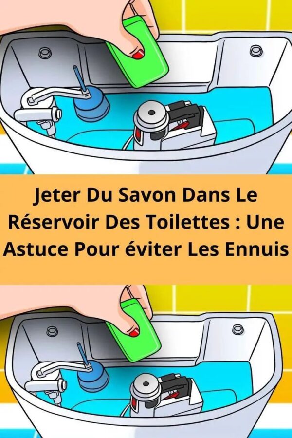 Jeter Du Savon Dans Le Réservoir Des Toilettes : Une Astuce Pour éviter Les Ennuis
